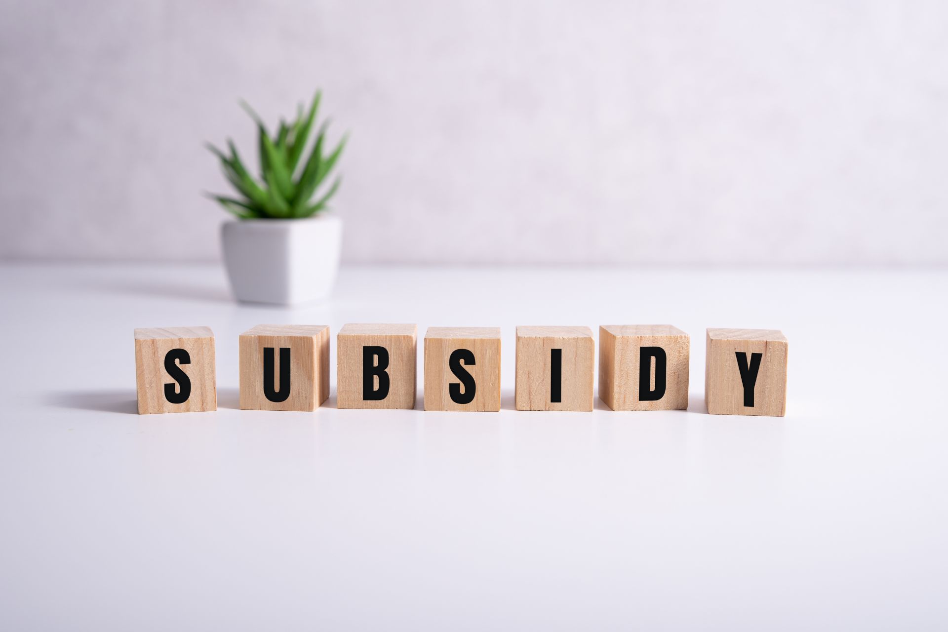 Subsidy - Blocks