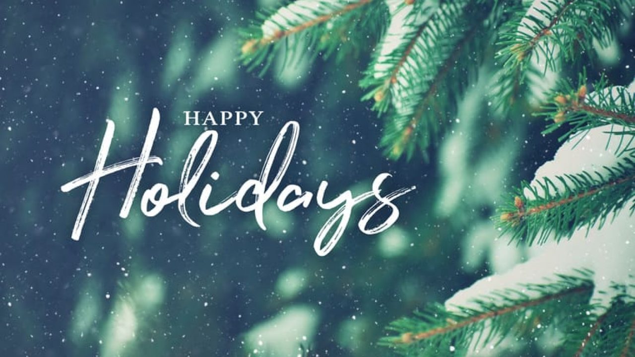 Happy Holidays Christmas Card with Close Up of Pine Tree Branch and Snow in Background